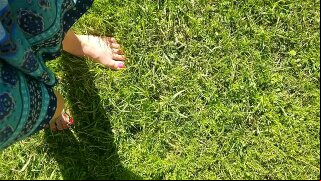 Quick Standing Summer Pee Outside In Grass